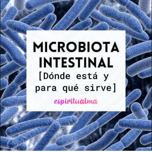 microbiota intestinal que es y para que sirve