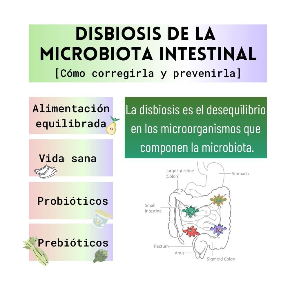 Qué es la Microbiota intestinal
