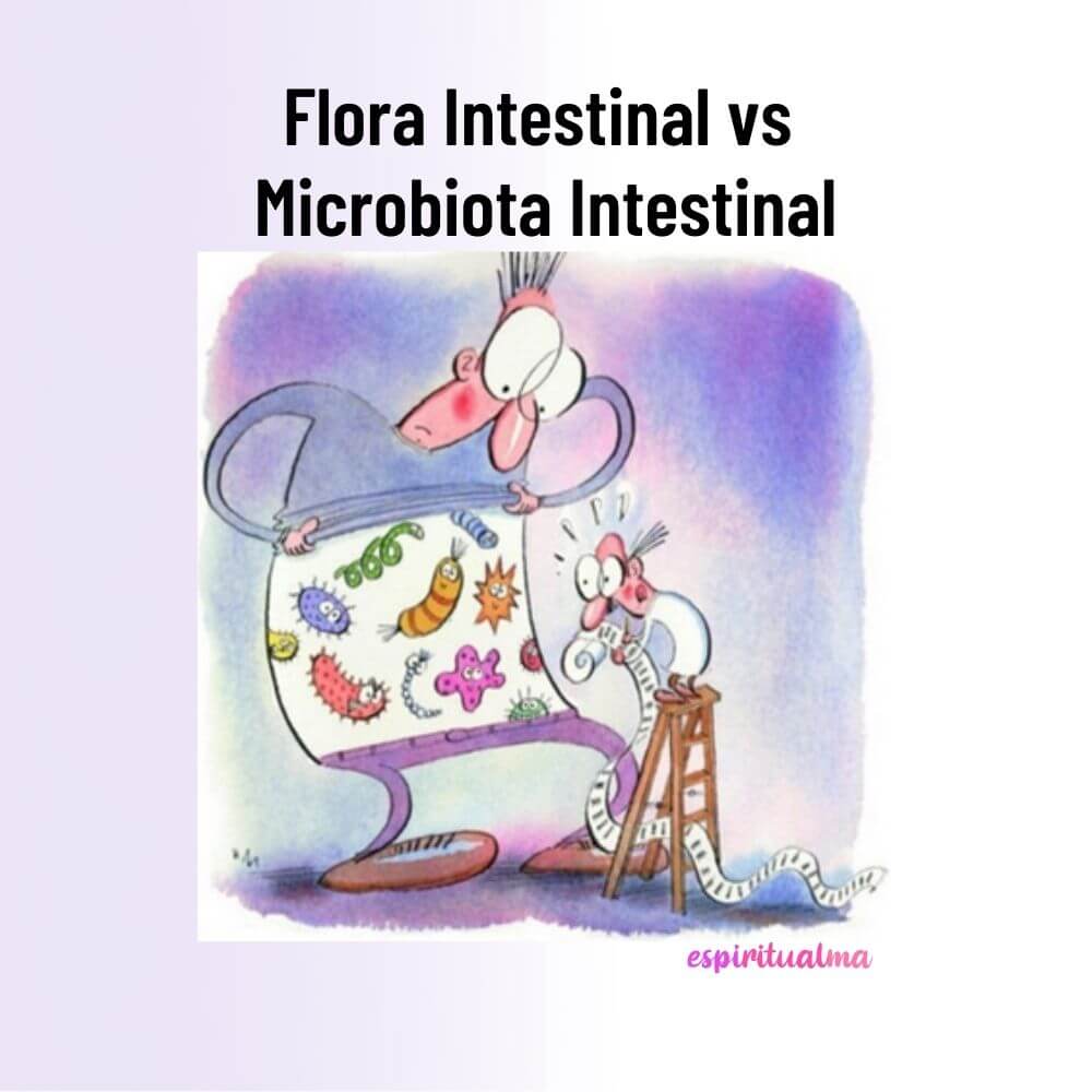 Qué es la microbiota intestinal y cuál es su función.