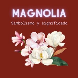 Simbolismo y significado del árbol de magnolia [en diferentes culturas]