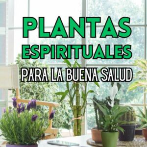Plantas espirituales para la buena salud