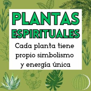 Las plantas espirituales poseen un poder único para disipar las malas vibraciones y las emociones intensas. 